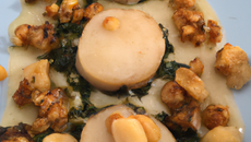 Noix de St-Jacques aux pleurotes au beurre d'herbes et noisettes