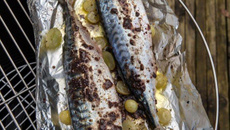 Maquereaux à la moutarde violette et aux raisins