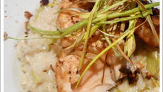 Saumon en croûte de noisettes et risotto aux poireaux !