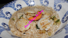 Risotto aux Saint-Jacques et courgette