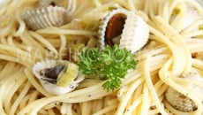 Spaghettis aux coques