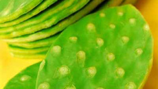 Salade au cactus et à l'avocat