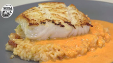 Pavé de cabillaud Skrei de Norvège à la plancha, coulis de poivron rouge et risotto crémeux au chorizo