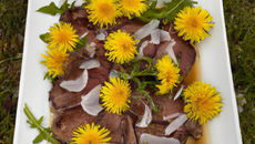 Carpaccio de bœuf sur lit de pissenlits chauds