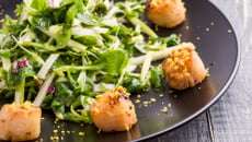 Coquilles Saint Jacques