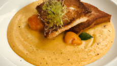 Velouté de potimarron, escalope foie gras
