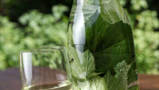 Vin aux feuilles de cassis