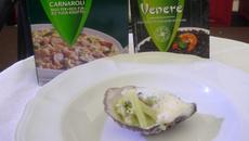 Huître Gilardeau, risotto Riso Gallo au broccoli et wazabi, émulsion de jus d'huître