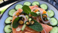 Saumon mariné et concombre fraicheur à la façon thai