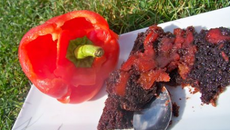 Gâteau fondant au poivron rouge confit piment d'espelette et chocolat noir!