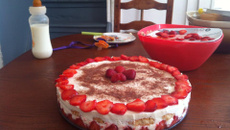 Fraisier rapide et facile