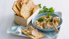 Rillettes de thon sans lactose sans gluten
