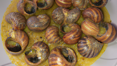 Escargos au beurre