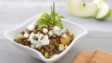 Lentilles, roquefort et herbes fraîches