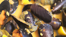Moules au curry et zestes d'agrumes