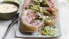 Tête de veau poulette, gremolata au citron