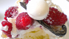 Vacherin, glace à la vanille maison et coulis de framboises