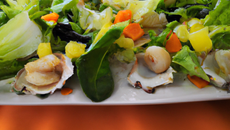 Salade romaine aux coquillages