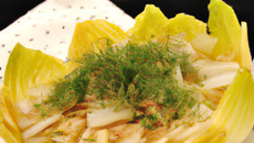 Tarte feuilletée aux saint jacques, fenouil et endives