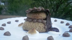 Religieuse choco-poivron