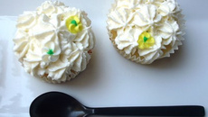 Cupcakes Coco / Citron vert