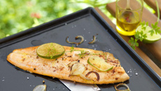 Filets de Truite d'aquaculture de nos régions marinés