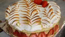 Fraisier pistache