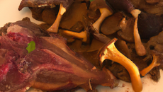 Cuisse de canard aux morilles