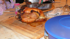 Dinde de Thanksgiving