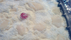 Tiramisu à l'ananas et noix de coco