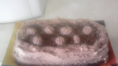 Cake moelleux au chocolat express