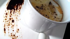 Œuf cocotte xxl au cheddar