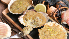 Coquilles saint-jacques