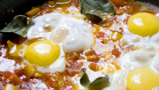 Menemen turc