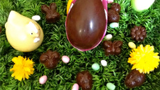 Chocolats noirs fourrés aux pistaches, ganache et coulis de framboise