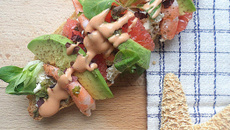 Tartines de la mer inratable