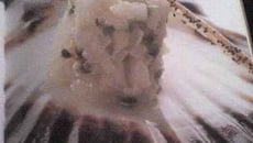 Tartare de St jacques