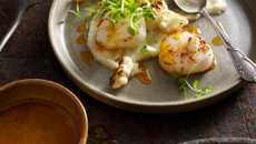 Saint-Jacques poêlées au gingembre et purée de panais et topinambours