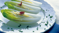 Endives au roquefort