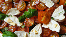 Farfalle tomate chèvre basilic