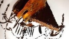 Gâteau crème de marrons et chocolat
