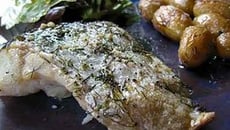 Lieu jaune grillé au fenouil, beurre au pastis