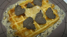 Gaufre de pommes de terre et de rutabagas, moelleux poché, , Truffe de Ste-Alvère et sauce aux racines de persil