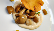 Saint-jacques à la vanille et girolles grises
