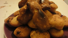 Madeleines gourmandes