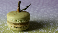 Dans le 'secret' des macarons