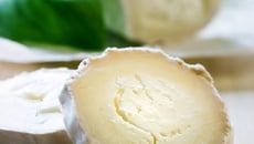 Délices de chèvre