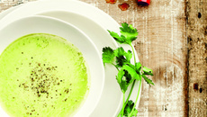 Soupe froide de cosses de petits pois à la coriandre