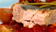 thon et sa compotée de tomates et poivrons rouges