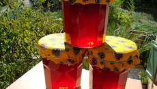 Gelée de coings et de pommes